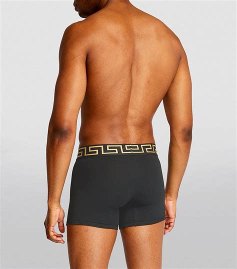 versace greca briefs|versace underwear briefs.